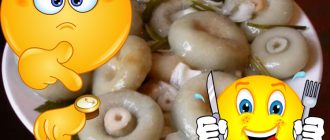 Накисване на млечни гъби