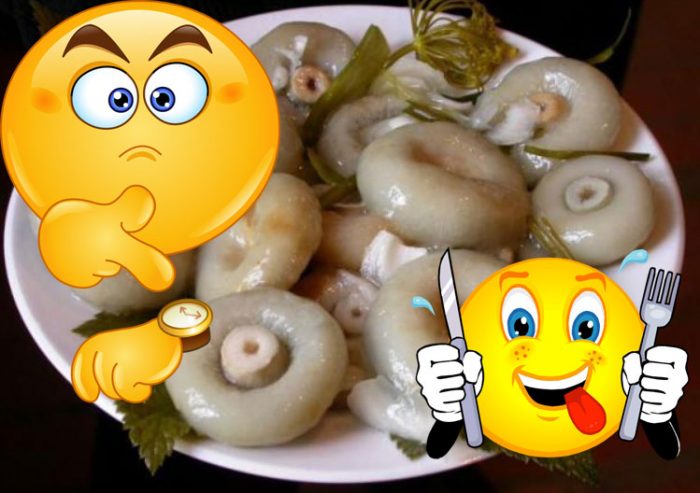 Накисване на млечни гъби