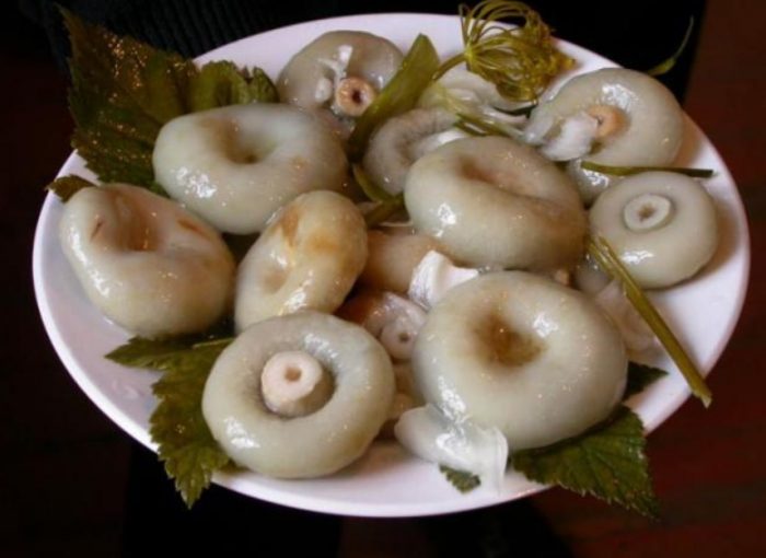 Мариновани млечни гъби