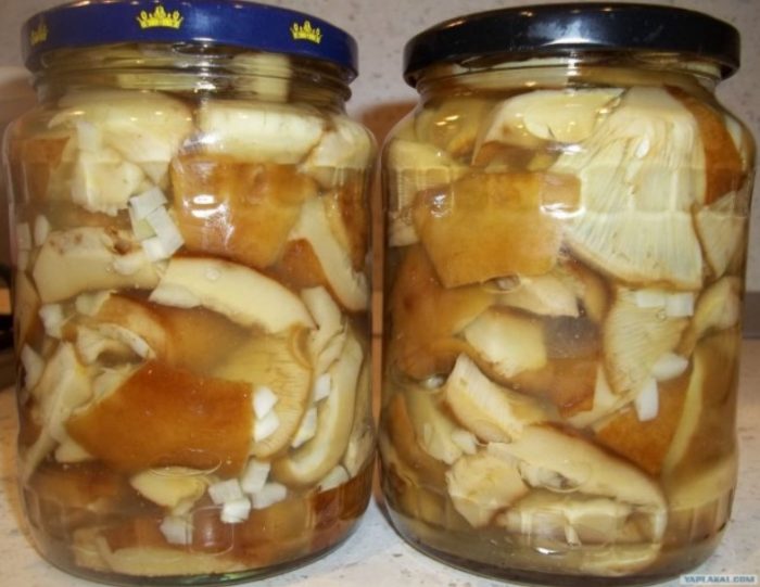 Солени жълти млечни гъби в буркани