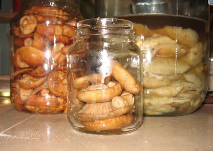 Буркани с кисели краставички