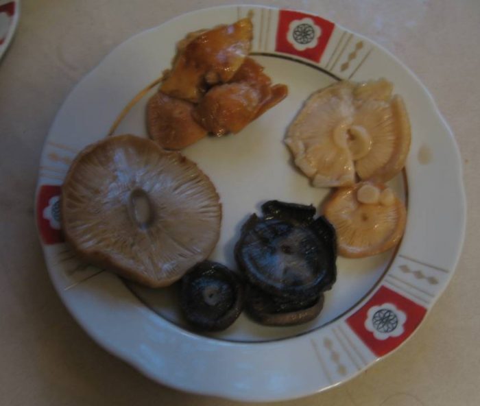 Чиния със солени гъби