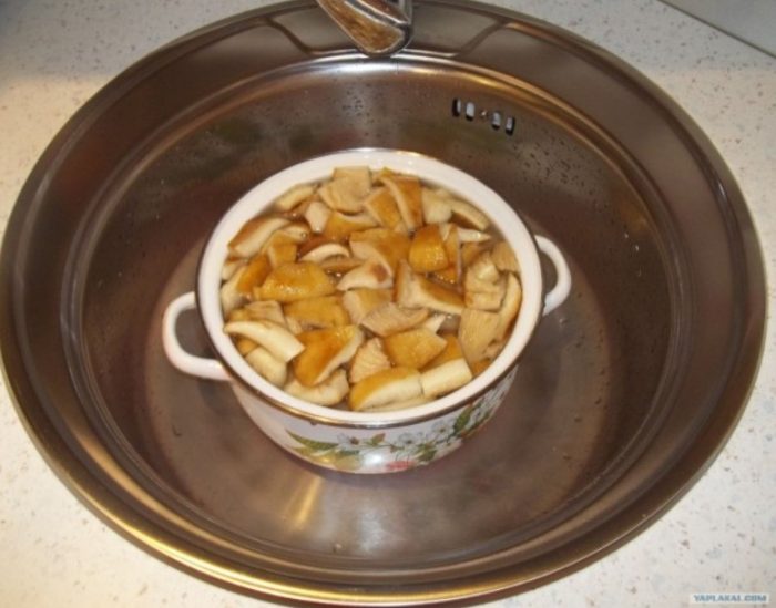 Млечни гъби в тенджера