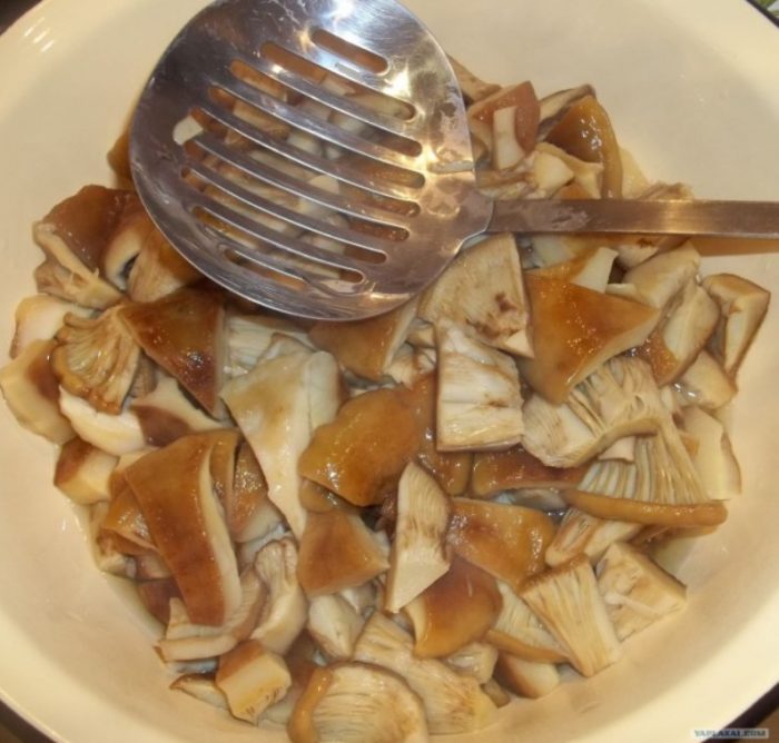 Мариновани гъби