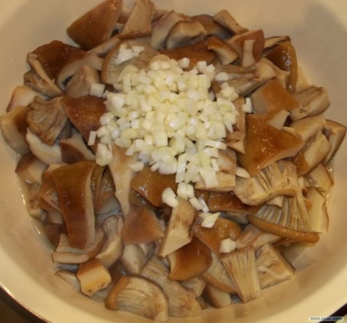Чесън за млечни гъби