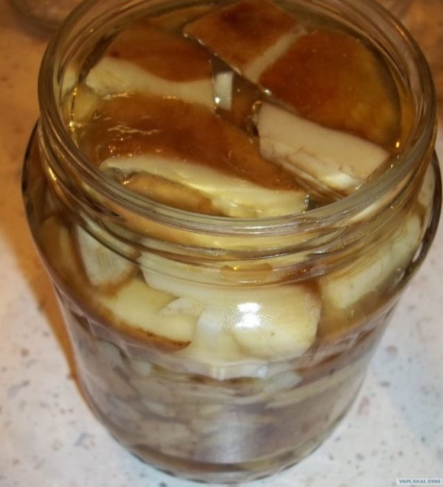 Буркан с млечни гъби