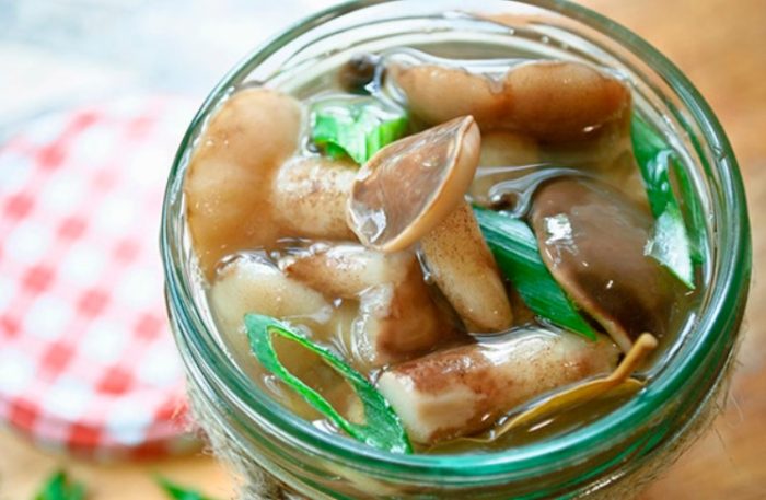 Маслени гъби с бяло вино