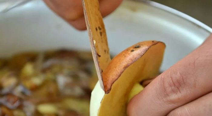 Почистване на маслени гъби