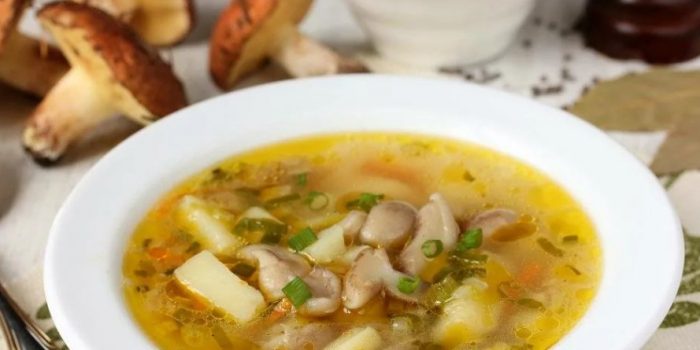 Супа от маслени гъби