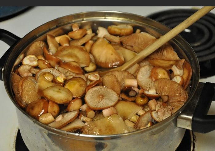 Готвене на маслени гъби в тенджера