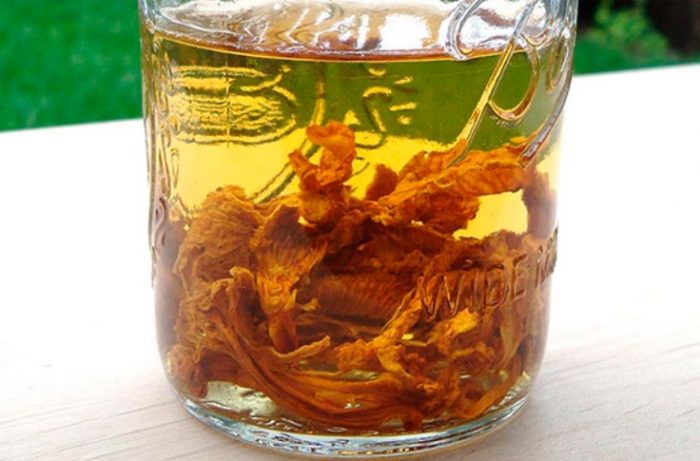 Тинктура от пачи крак