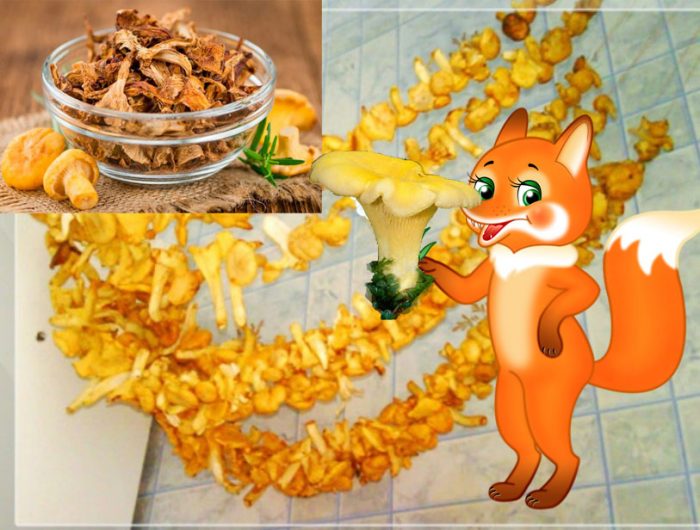 Сушени пачи крак