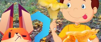 Храна за пачи крак