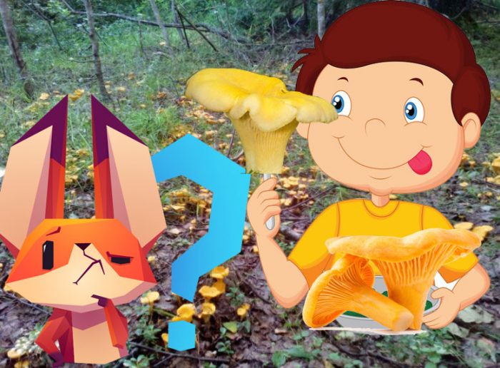 Храна за пачи крак