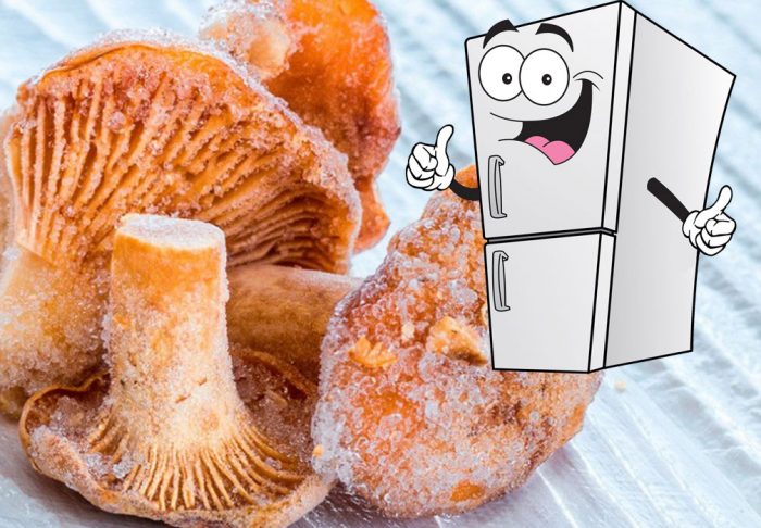 Замразени пачи крак