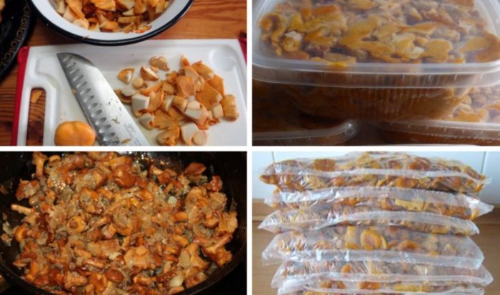 Методи за замразяване