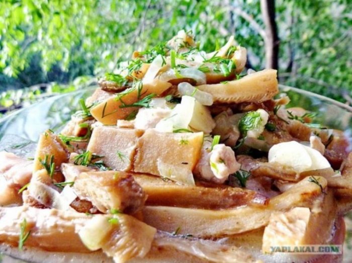 Варени бели млечни гъби