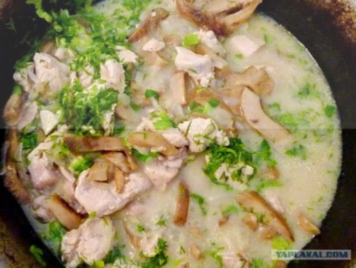 Готвене на бели млечни гъби