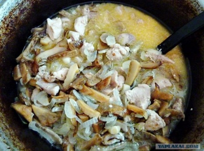 Задушаване на бели млечни гъби