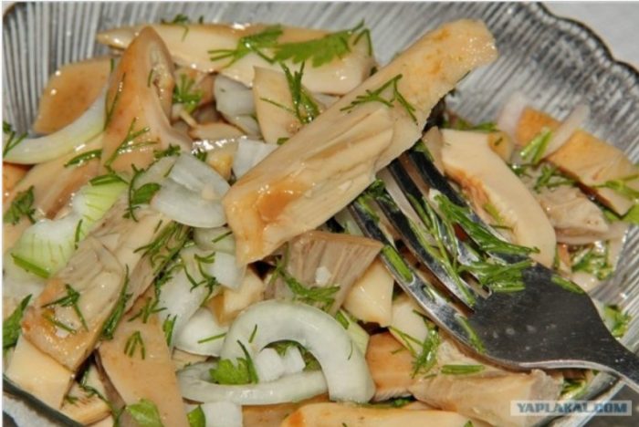 Солени млечни гъби