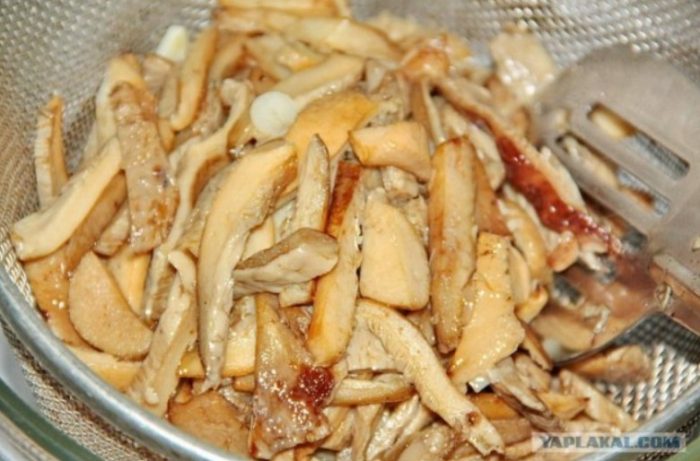 Пържени млечни гъби