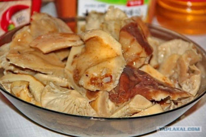 Нарязани млечни гъби