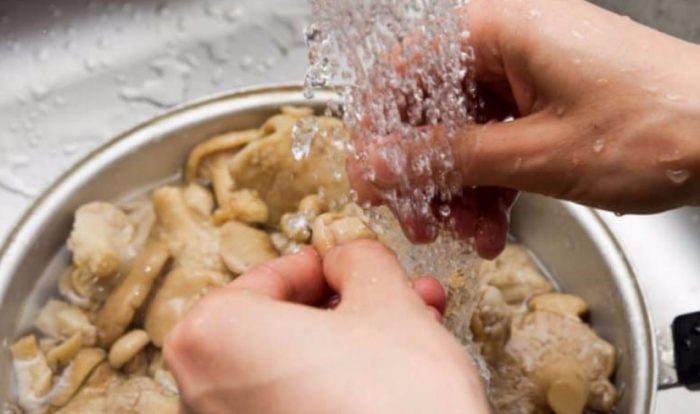 Как да измием бели млечни гъби