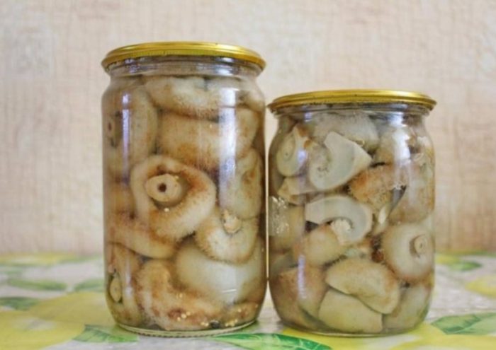 Мариновани сушени млечни гъби