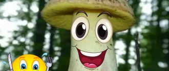 Ядливи гъби порчини