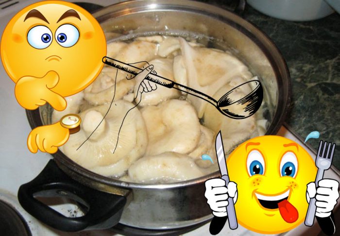 Колко време се готвят млечни гъби?