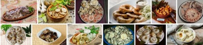 Ястия с млечни гъби
