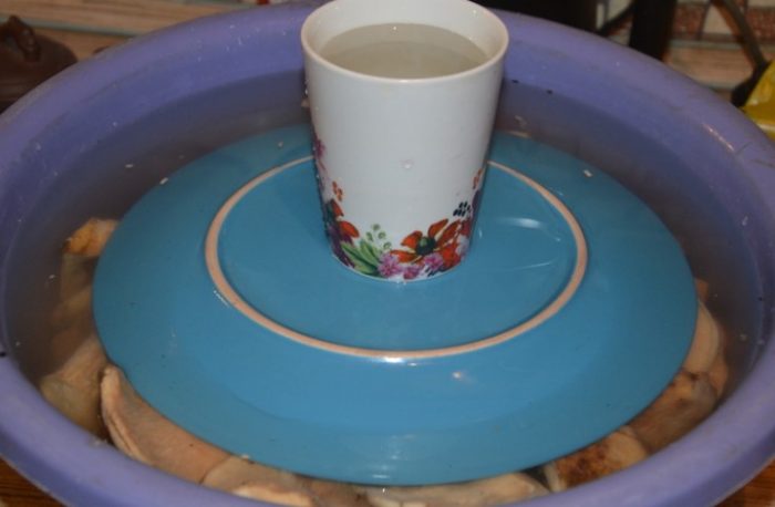 Накисване на млечни гъби