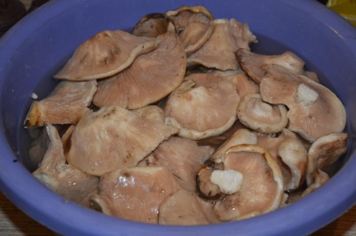 Накиснати млечни гъби