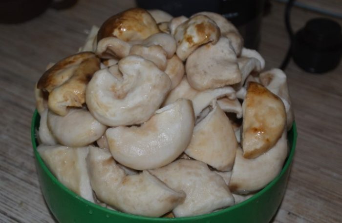 Солени млечни гъби