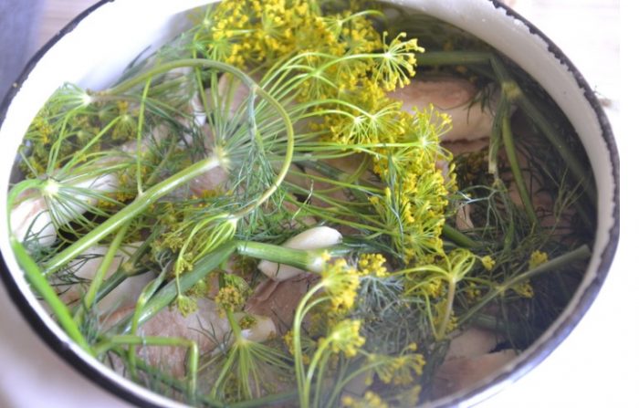 Тенджера, пълна с млечни гъби