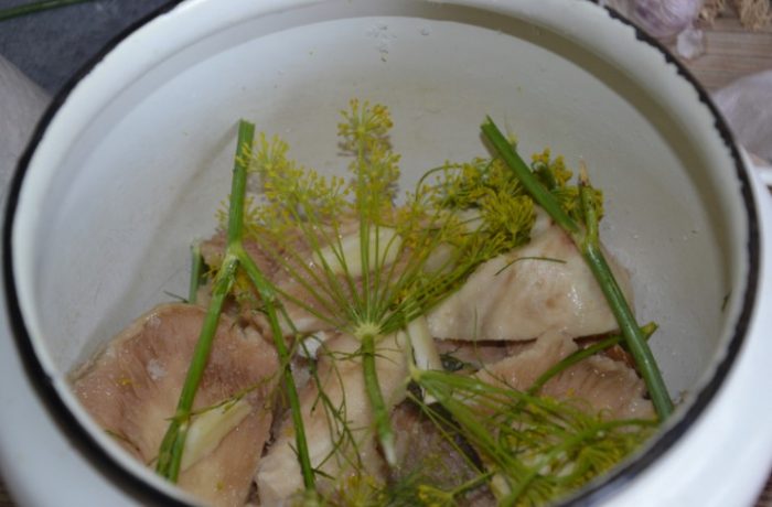 Млечни гъби в тенджера с копър