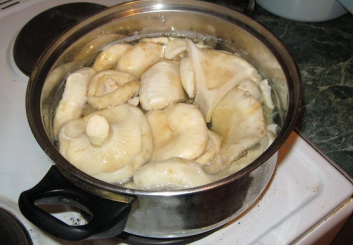 Готвене на млечни гъби