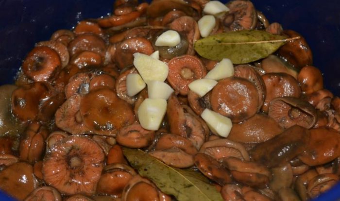 Солени гъби