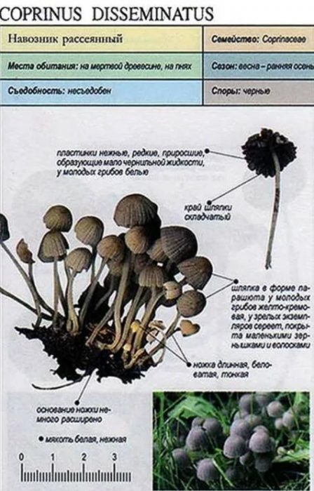 Описание на капачката за мастило