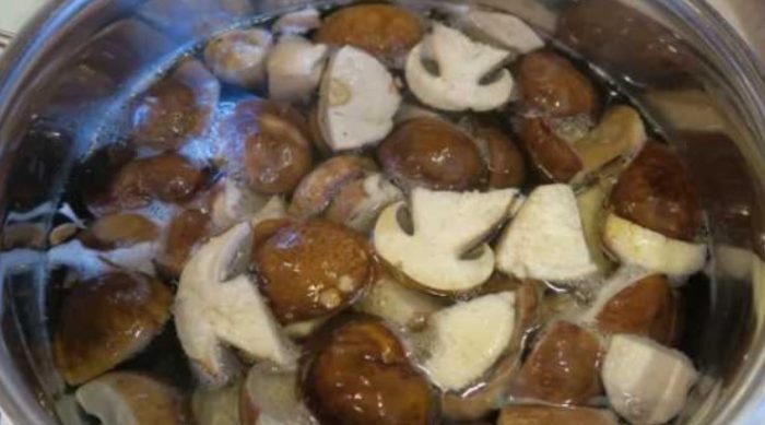 Ползи за здравето от варени гъби порчини