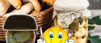 Как да мариновате гъби порчини