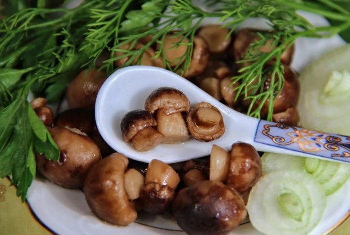 Манатарки с билки