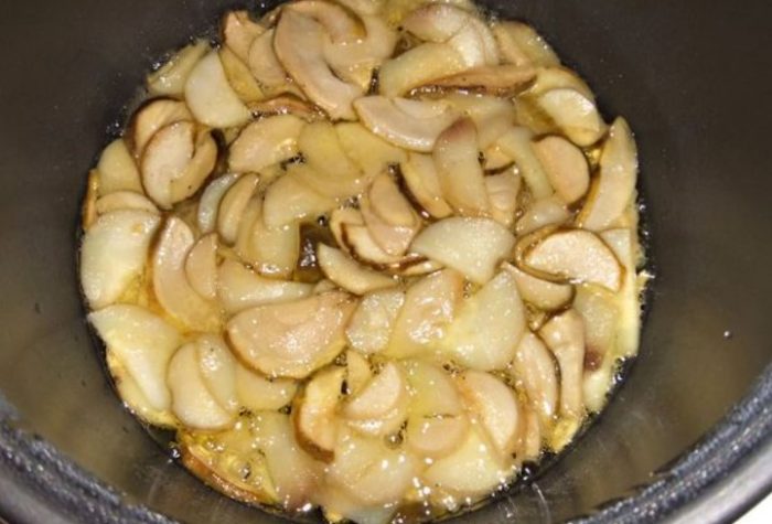 Мултикукър и гъби порчини