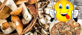 Приготвяне на сушени гъби