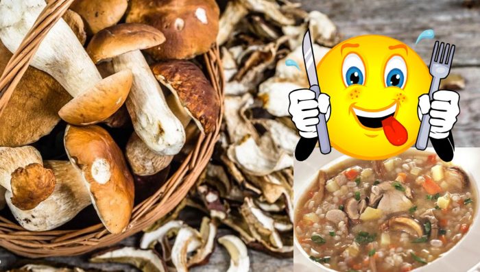 Приготвяне на сушени гъби