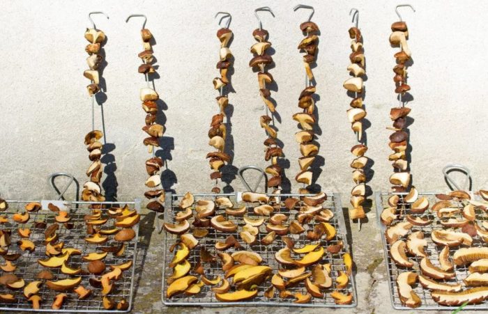 Сушено полубяло Сушени манатарки на решетка