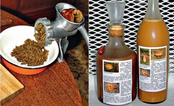 Подготовка на посадъчен материал