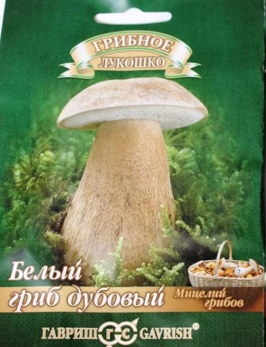 Мицел от бели гъби