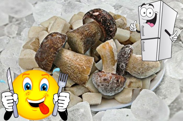 Замразени манатарки