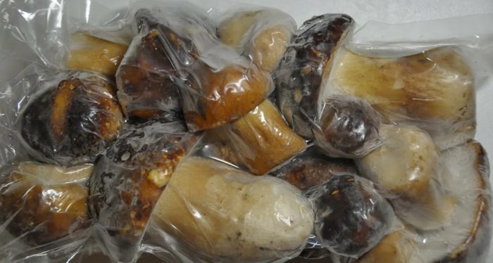 Порция замразени гъби порчини